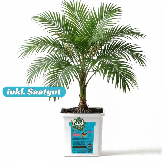 Grow Bucket super Soil mineralic